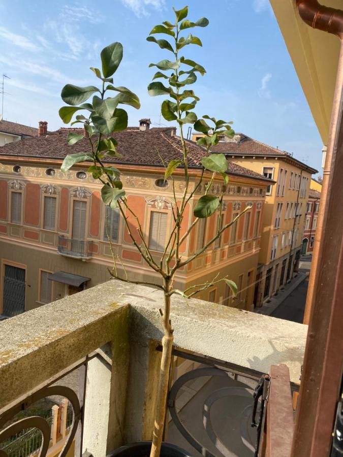Loft Manzoni 37 Apartman Cremona Kültér fotó